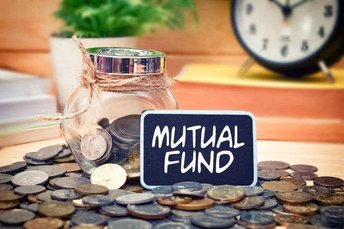 Mutual funds invest