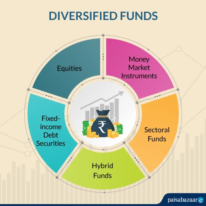Diversified funds mutual equity