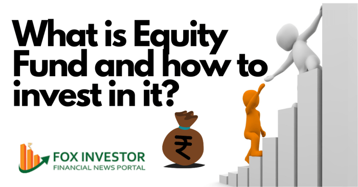 Equity fund invest agarwal
